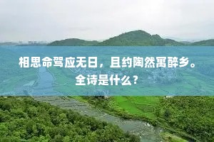 美酒众忘深巷陌，好花生值恶风埃。的释义