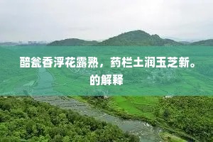 层基面垒盘蜗壳，倒影侵池侧蜃楼。的意思及出处