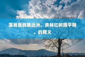 浓妆艳饰成语的拼音
