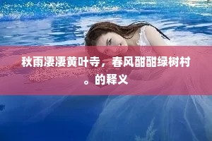 弄法舞文成语的拼音