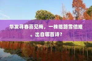 弄斧班门成语的拼音