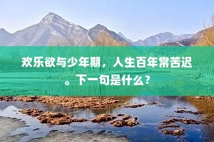弄管调弦成语的释义