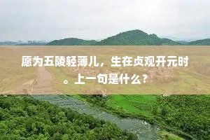 弄鬼掉猴成语的拼音