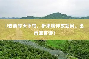 弄假成真成语的拼音
