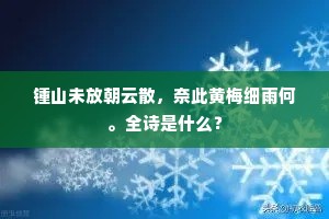 弄虚作假成语的拼音