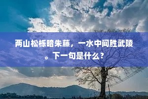 不是栽培功未至，年年何苦转枝多。全诗是什么？