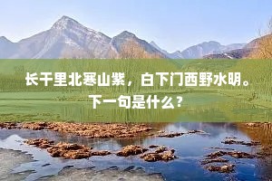 卓荦偏人，而文最有气，所得颇经奇。全诗是什么？