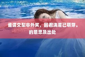 弩张剑拔成语的解释