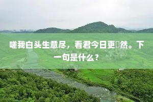 当筵主筹令难犯，大白时举出正罚。上一句是什么？