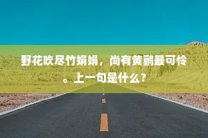 帐下貔貅十万师，力过生犀心似铁。的意思及出处