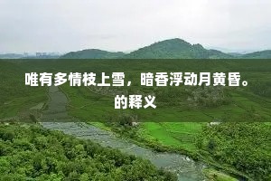霜斤谨勿窥微利，惜取金汤四面牢。的意思及出处