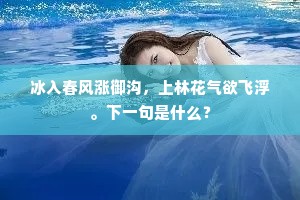 骈肩迭迹成语的释义