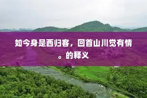 骈四俪六成语的拼音