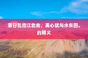 质非文是成语的解释