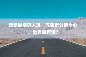 忠心赤胆成语的拼音