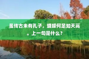 镵诗又志君恩厚，鼎镬捐身报亦微。出自哪首诗？