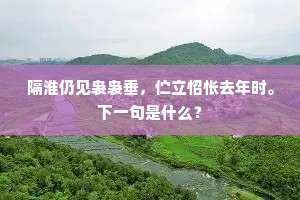 公之佳婿苏子美，得公一二名已沽。的意思及出处