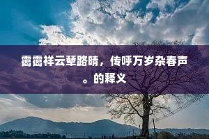 蛛网尘封成语的拼音