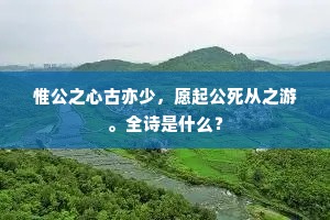 凭虚公子成语的释义