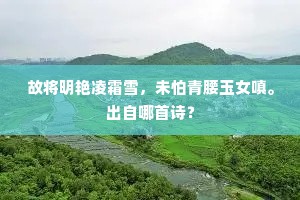 帡天极地成语的解释