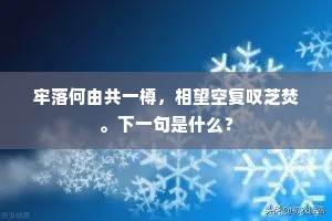 综核名实成语的拼音