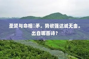 烟尘回首烽三月，花柳关情酒一杯。的释义