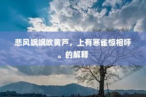 此地相逢复相别，江天病眼向谁明。的解释