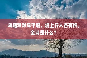 寂寂空房惟法喜，茫茫何处问臞仙。的意思及出处