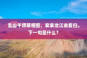 何须更画东平障，十万人家表里看。的释义