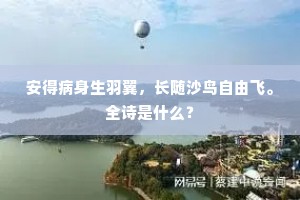 寂寂闲庭少客过，翛然丈室一维摩。的意思及出处