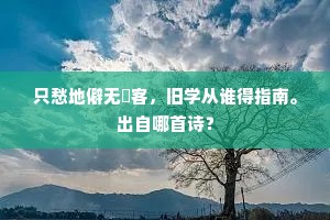 千里同风杜夫子，可能时寄弹丸诗。出自哪首诗？