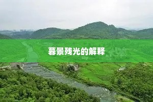东山胜践今人见，西洛耆年几客同。的解释