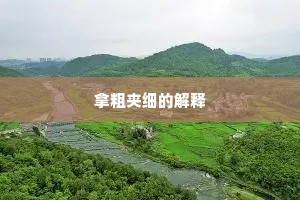 七子八婿成语的拼音