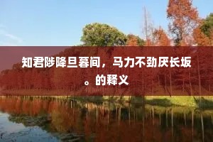 莫待斜阳，便寻归棹，家隔两重城。的解释