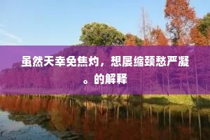 梧桐院落秋声里，橘柚人家晚照中。的解释