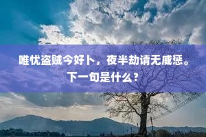 悠悠远别半生悲，白日相逢又语离。的解释