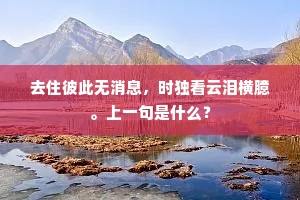 不奈此时心断绝，长沙南去故人稀。全诗是什么？