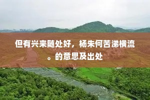 千虑一得成语的拼音