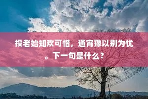 良人西去击狂胡，妾在闺中对影居。的意思及出处
