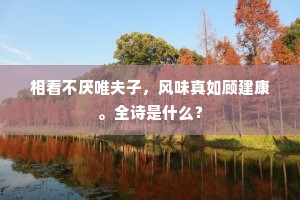 弃瑕取用成语的释义
