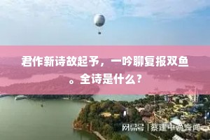 弃瑕忘过成语的释义