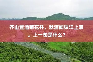 举杯失笑君何在，望断行云空咄嗟。上一句是什么？