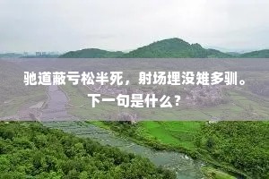 兴来目送海边鸿，归心挂在闽溪树。的解释