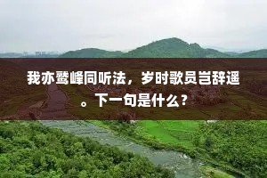 人生四十未为老，我已白头色枯槁。的解释