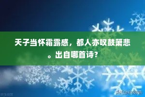 王师北伐何仓卒，六郡丁男亳州骨。的解释