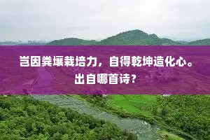 春草萋萋路入秦，长安北望空愁人。的解释