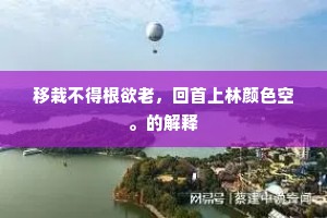 洞庭波浪帆开晚，云梦蒹葭鸟去迟。出自哪首诗？