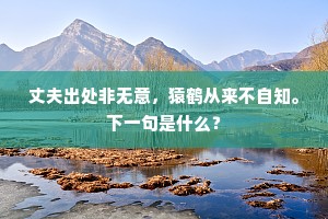 城上新开百尺楼，白云人伴白云留。全诗是什么？