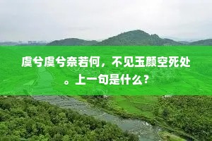 遣言措意成语的解释