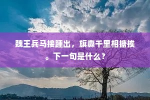 停舟湘濆吾与语，归返终南恨睽阻。的意思及出处